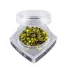 SS10/ 09 [228]
